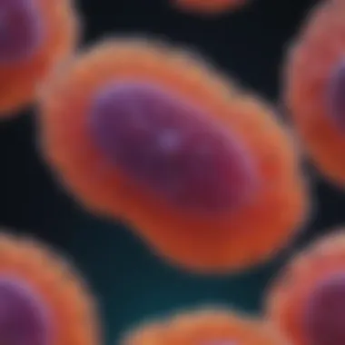 Magnificent A Comprehensive Overview of CD11b Immunofluorescence Techniques Magnificent A Comprehensive Overview of CD11b Immunofluorescence Techniques