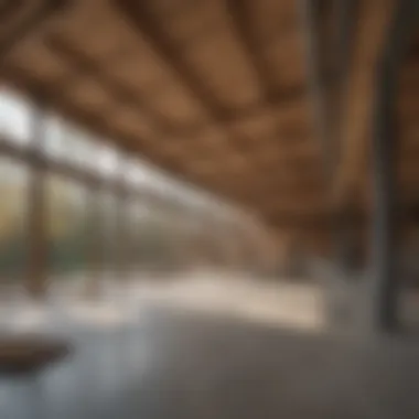 Magnificent Exploring Element 5 Mass Timber: Innovation in Sustainable Construction