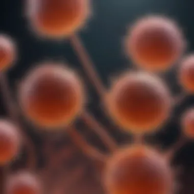 Magnificent Understanding HEK 293 Cells: Source and Applications Magnificent Understanding HEK 293 Cells: Source and Applications