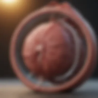 Magnificent Understanding Stage 2 Bladder Prolapse: An In-Depth Exploration