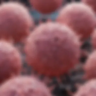 Microscopic view of HR-negative breast cancer cells