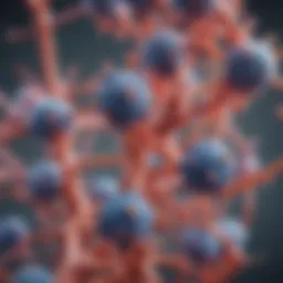Detailed illustration showing the structure of IgG antibodies and their role in the immune response.