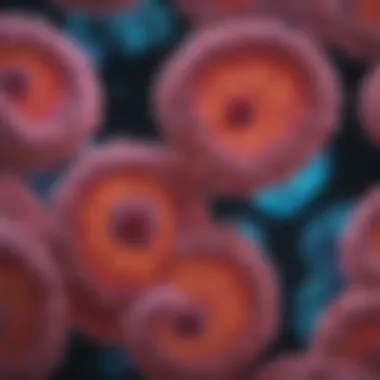 Notable A Comprehensive Overview of CD11b Immunofluorescence Techniques Notable A Comprehensive Overview of CD11b Immunofluorescence Techniques