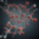 Molecular structure of Acetyl-L-Carnitine