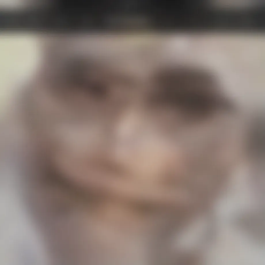 Genetic illustration showcasing the DNA structure related to cleft lips