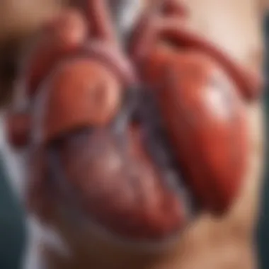 Diagram of biological mechanisms affecting cardiovascular health due to obesity