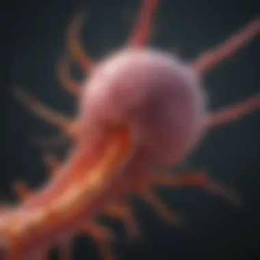 Visualization of cancer cells spreading to the spine