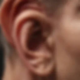 Illustration depicting the anatomy of the ear related to hearing loss