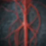 Cerebral angiogram showcasing detailed vascular structures