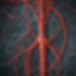 Cerebral angiogram showcasing detailed vascular structures