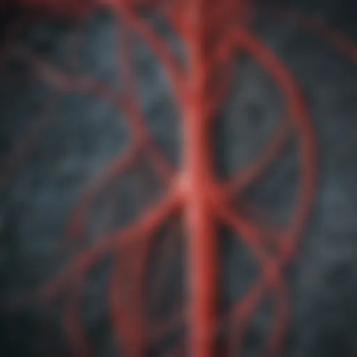 Cerebral angiogram showcasing detailed vascular structures