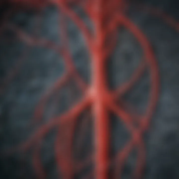 Cerebral angiogram showcasing detailed vascular structures