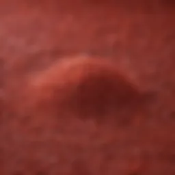 Citrinin-free red yeast rice grains showcasing their natural color and texture
