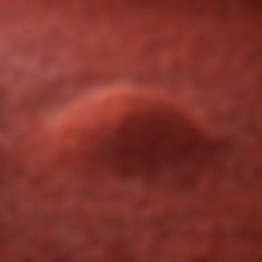Citrinin-free red yeast rice grains showcasing their natural color and texture