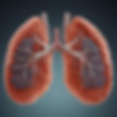 Epidemiology of NSCLC and SCLC Infographic detailing epidemiology of NSCLC and SCLC