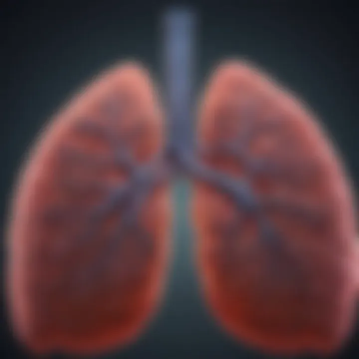 Graph showcasing treatment approaches for NSCLC and SCLC