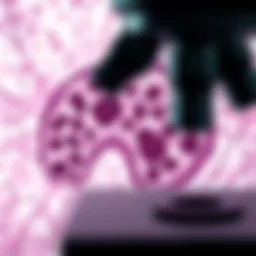 Histological comparison of NSCLC and SCLC under a microscope