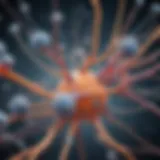 Illustration depicting synaptophysin's structure and function in synapses