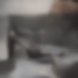 Detailed anatomy of the foot highlighting heel area