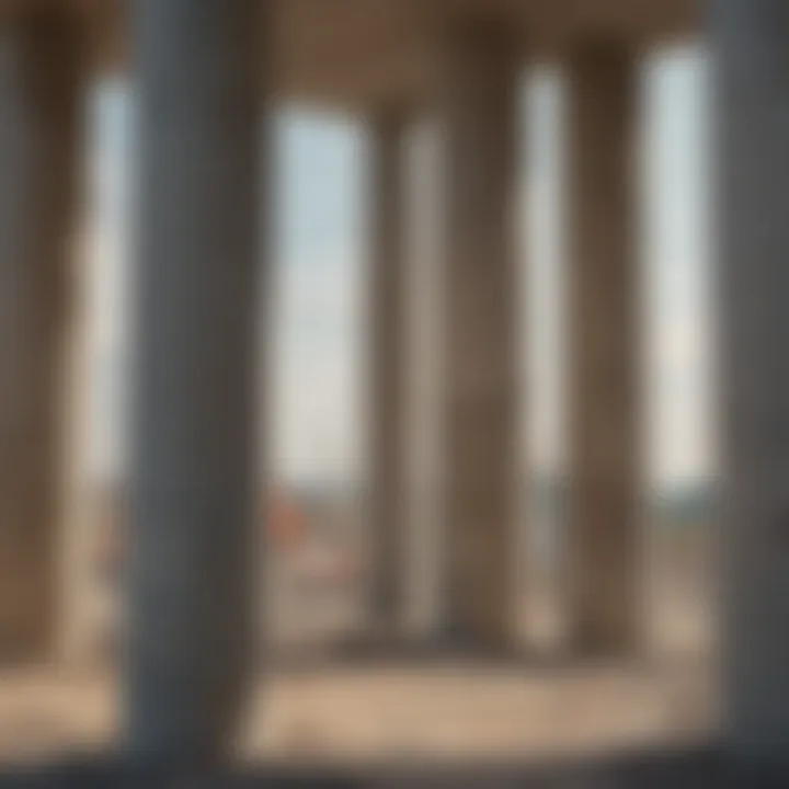 A construction site showcasing various types of concrete columns being erected.