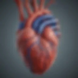 Illustration depicting coronary arteries and the impact of blockage.