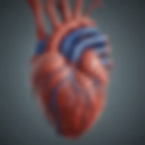 Illustration depicting coronary arteries and the impact of blockage.