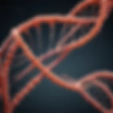 Notable CRISPR-Cas9 Genome Editing Technology: A Comprehensive Exploration Notable CRISPR-Cas9 Genome Editing Technology: A Comprehensive Exploration