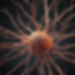 Visualization of neuronal markers in brain tissue