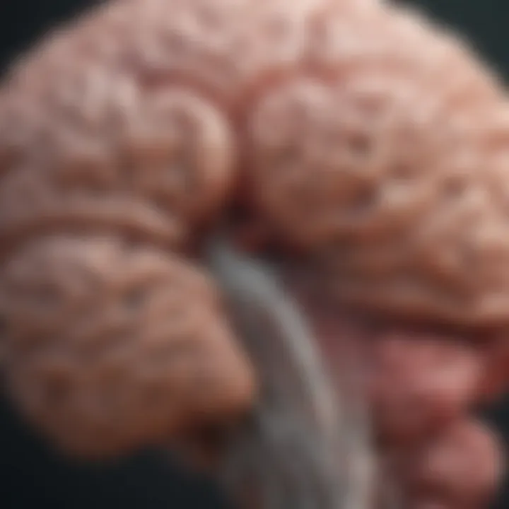 Diagram of diagnostic criteria for sepsis-related brain dysfunction