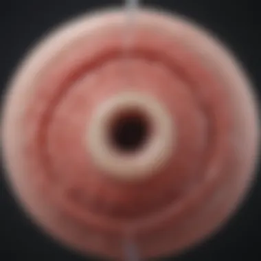 Comparison chart of urethral dilation techniques