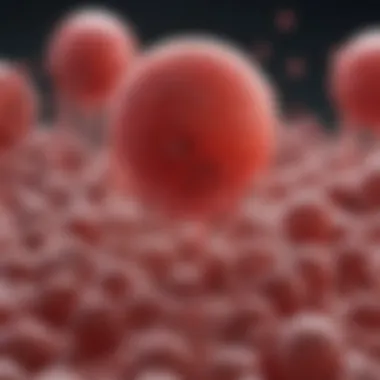 Diagram of primary and secondary thrombocytopenia