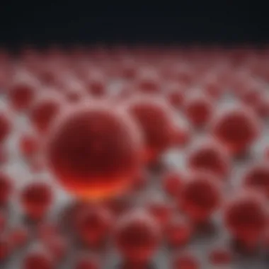 Treatment Options for Thrombocytopenia Visualization of treatment options for low platelet count