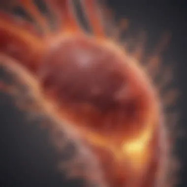 Bacterial Pathogenicity in Canine Urinary Tract Illustration of bacteria in urine