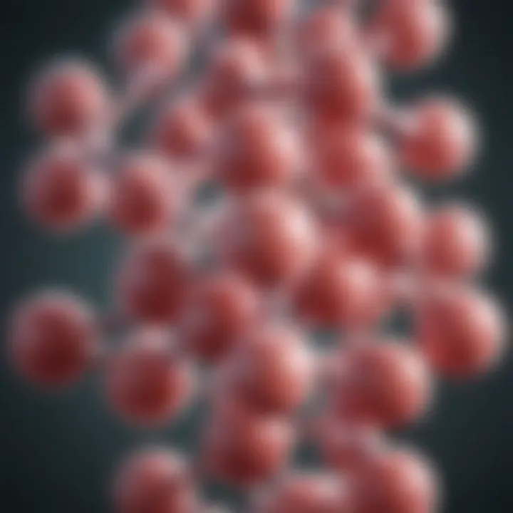 Amoxicillin molecular structure