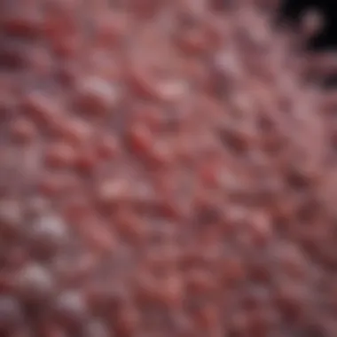 Common Bacterial Pathogens in UTIs Bacterial pathogens related to UTIs