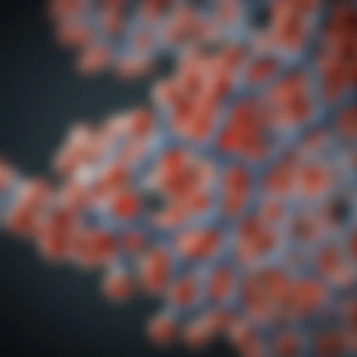 Ferritin molecule structure illustration