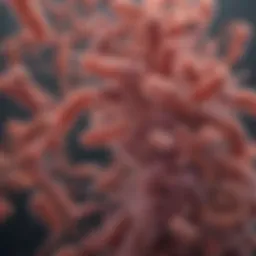 Illustration of Escherichia coli bacteria under a microscope
