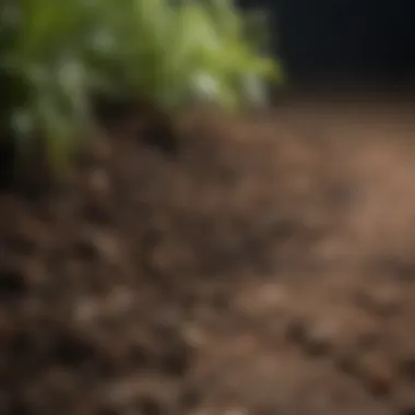 Comparative Analysis of Mulch Types and Their Benefits Bar chart comparing environmental benefits of different mulch types