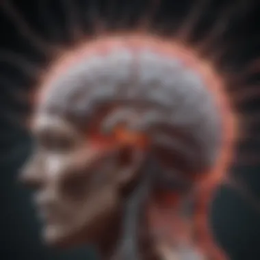 Impact on Neural Pathways Visualization of brain activity showing the impact of anti-craving medications on neural pathways.