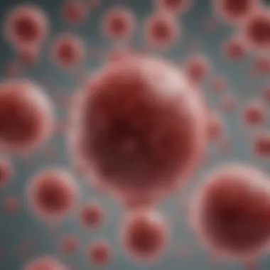 Diseases Treated with Cord Blood Stem Cells Infographic on diseases treated by stem cells