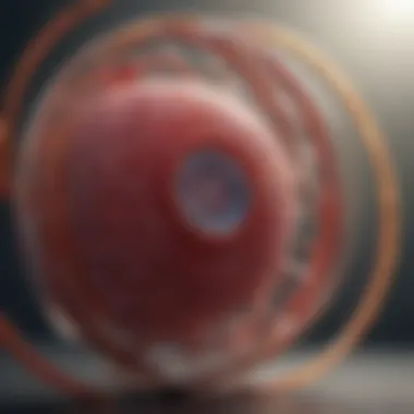 Future research advancements in stem cell therapy