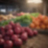 Vibrant produce at a local CSA farm in Bloomington