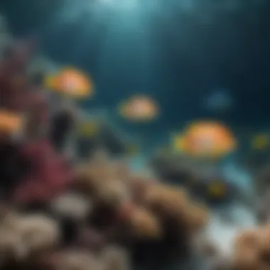Diverse Marine Life Underwater Underwater shot of diverse fish species in their natural habitat
