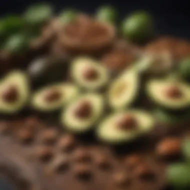 Healthy Fats Variety An array of healthy fats like avocados, nuts, and seeds arranged aesthetically.