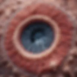 Microscopic view of lung tissue affected by cancer