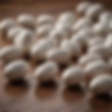 Close-up of magnesium hydroxide capsules on a wooden surface