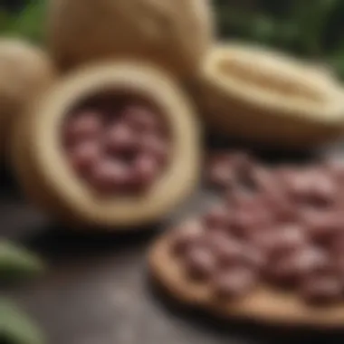 Health Benefits of Mucuna Pruriens Visual representation of health benefits associated with Mucuna Pruriens