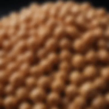 The Distinctive Texture of Natto Close-up of natto showcasing its unique texture and appearance