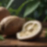 Nutritional composition of cassava
