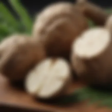 Comparative Analysis of Raw and Cooked Cassava Raw versus cooked cassava comparison